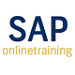 SAP Online Training and Placement on all ERP Modules
