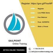 One-on-one Sailpoint Online Training by industry experts