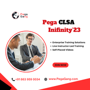 Certified Pega Decisioning Consultant V'24 | PegaGang